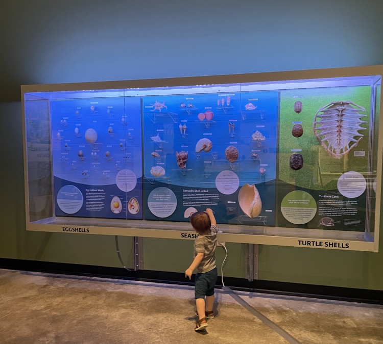 North Carolina Museum of Natural Sciences at Greenville and Contentnea Creek (Greenville,&nbspNC)